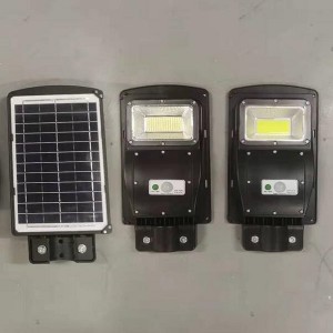 SMD ndi COB Version ya Integrate Solar Garden Light for Road and Living Area