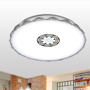 Special Design Ceiling Light 24W/36W good for Family use