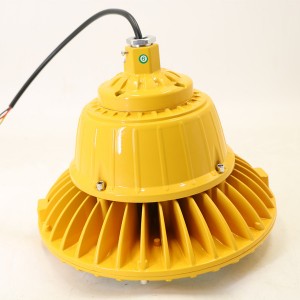 5 Years Warranty Explosion Proof Light 60W and 85W for Gas Station