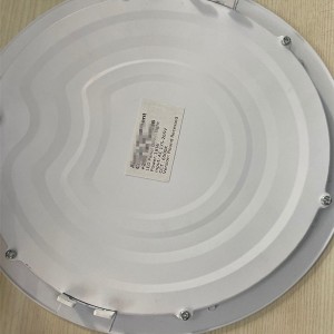 Insert Mount Version and Ceiling Mount Version Round Down Light
