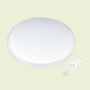 Economical Version Remote Control Ceiling Dimming LED Ceiling Light 12W to 80W for Office or Hotel Use
