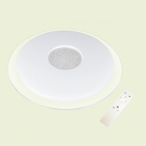 Economical Version Remote Control Ceiling Dimming LED Ceiling Light 12W to 80W for Office or Hotel Use