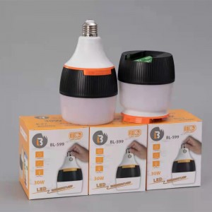 30W Detachable high power emergency bulb with E27 base and long Emergency time