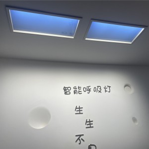 Oświetlenie pomieszczenia do montażu powierzchniowego Lampa sufitowa Blue Sky