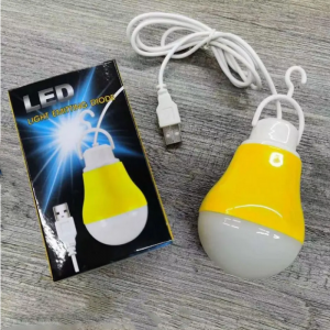 Different House Color Bulb 5W 5V LED Bulb with Wire and USB Cable for Holiday and Family