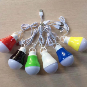 Different House Color Bulb 5W 5V LED Bulb with Wire and USB Cable for Holiday and Family