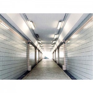 8FT Tri Proof LED Light ສໍາລັບ Corridor ແລະ basement Input AC110-240V
